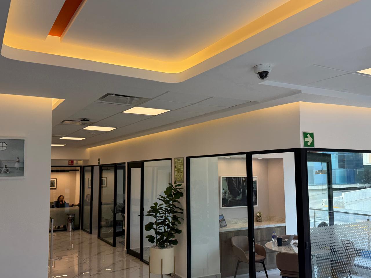 Proyecto realizado REED MTY 11
